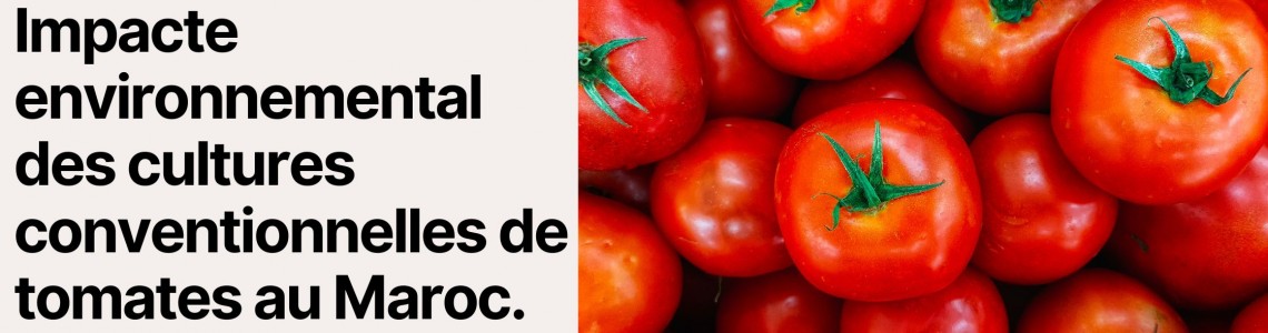 Impacte environnemental des cultures conventionnelles de tomates au Maroc