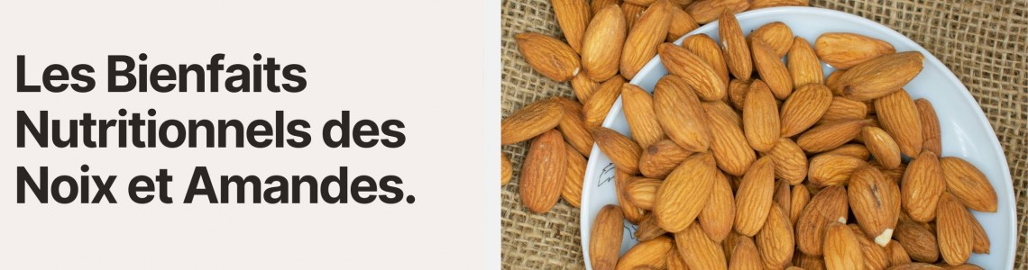 Les Bienfaits Nutritionnels des Noix et Amandes