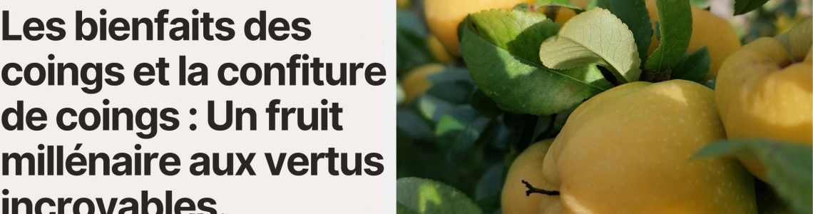 Les bienfaits des coings et la confiture de coings : Un fruit millénaire aux vertus incroyables