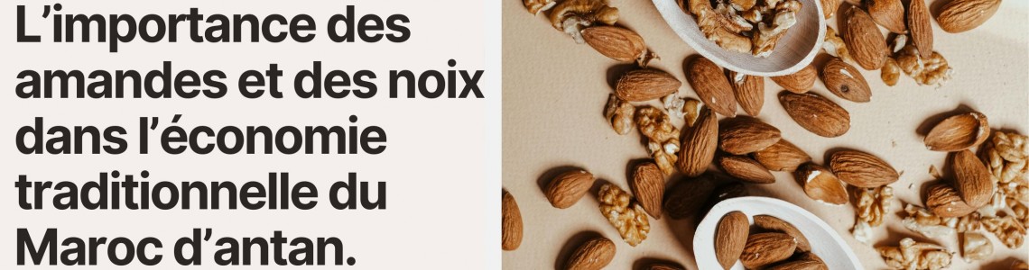 L’importance des amandes et des noix dans l’économie traditionnelle du Maroc d’antan